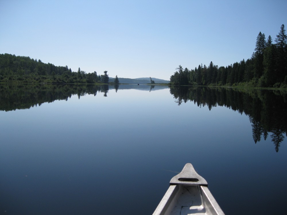 Canoe pog whitefish algonquin